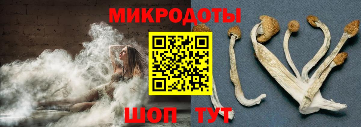 Псилоцибиновые грибы Magic Shrooms Полевской